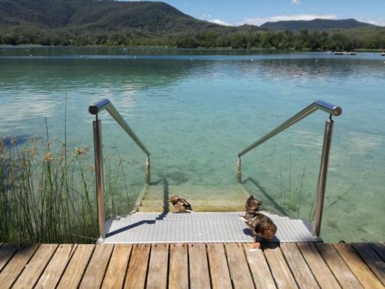 Camping Bungalow El Llac De Banyoles Porqueres エクステリア 写真