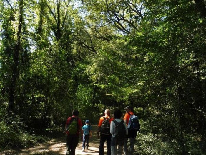 Camping Bungalow El Llac De Banyoles Porqueres エクステリア 写真