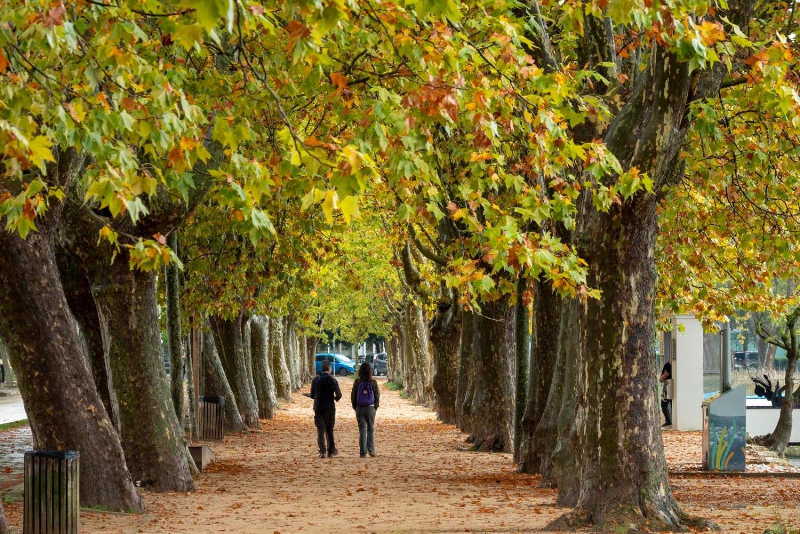 Camping Bungalow El Llac De Banyoles Porqueres エクステリア 写真