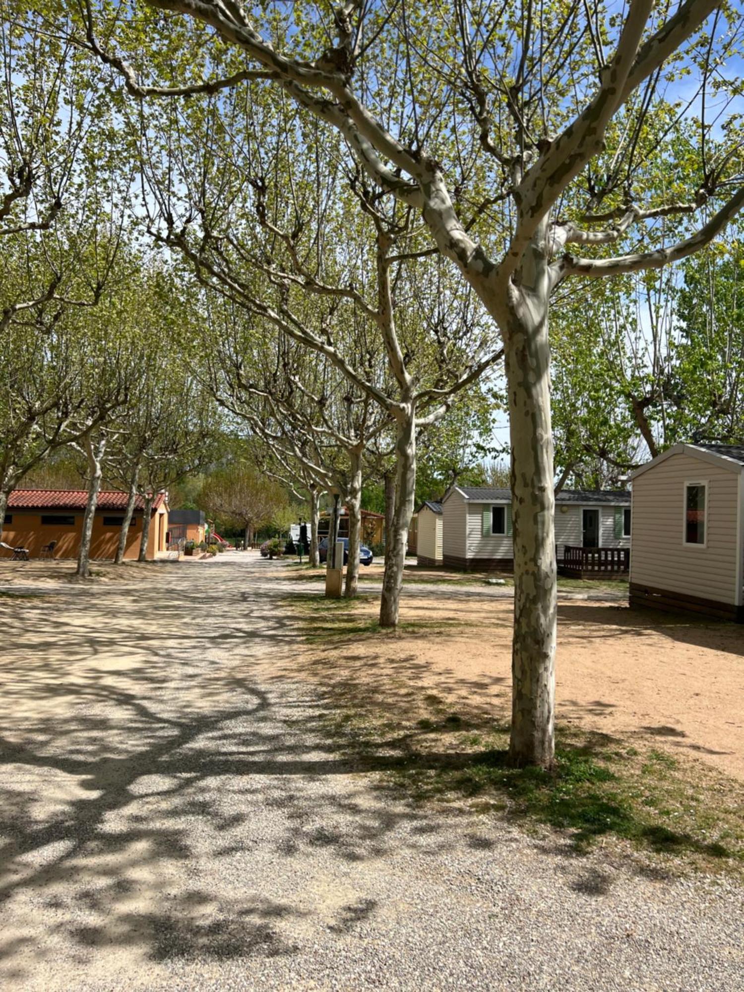 Camping Bungalow El Llac De Banyoles Porqueres エクステリア 写真